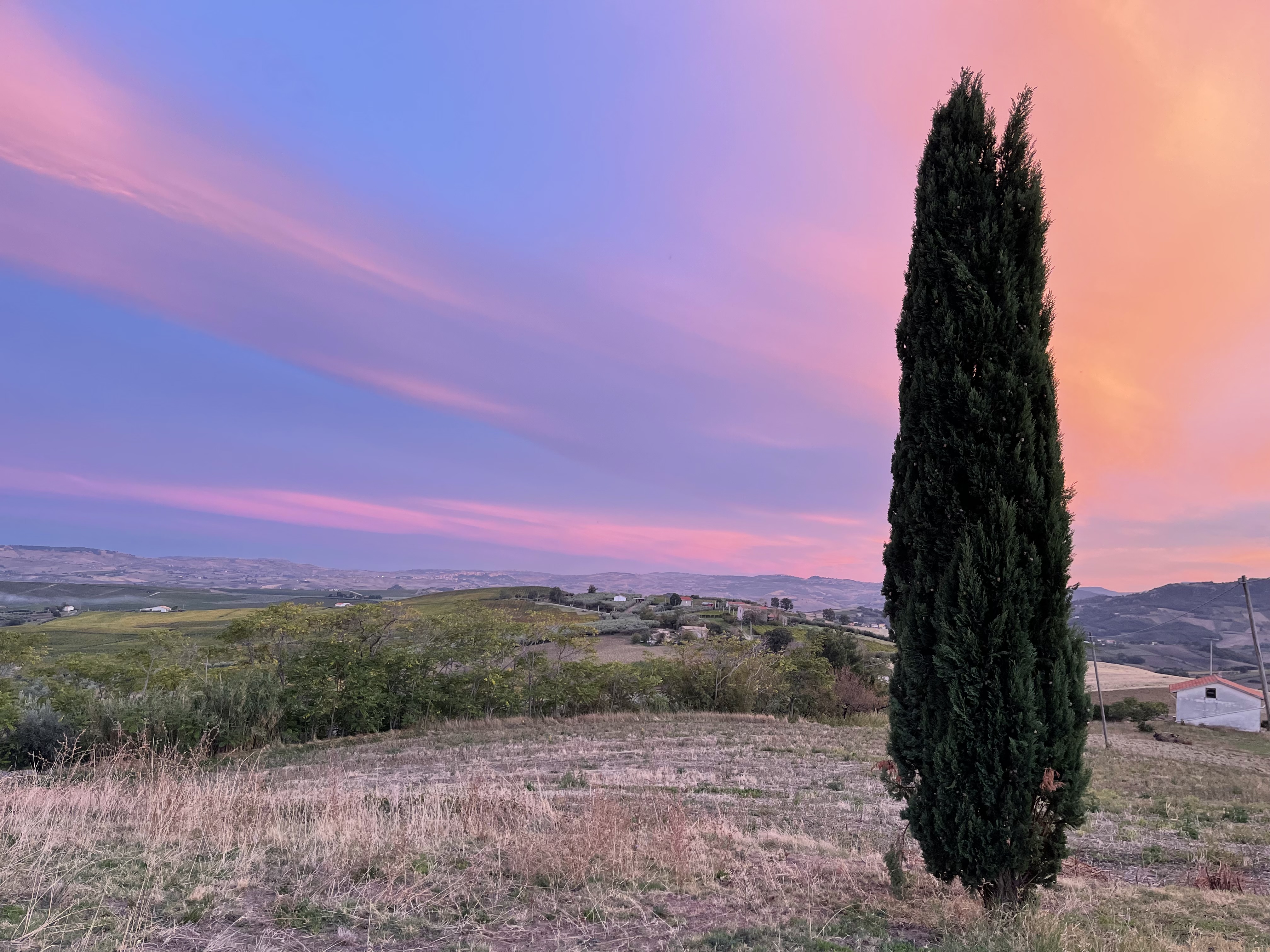 Poderi Antenucci Landscape